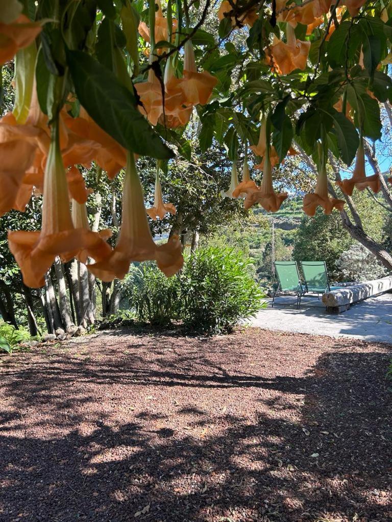 La Casita Del Lagar Villa Cerrogordo Exteriör bild